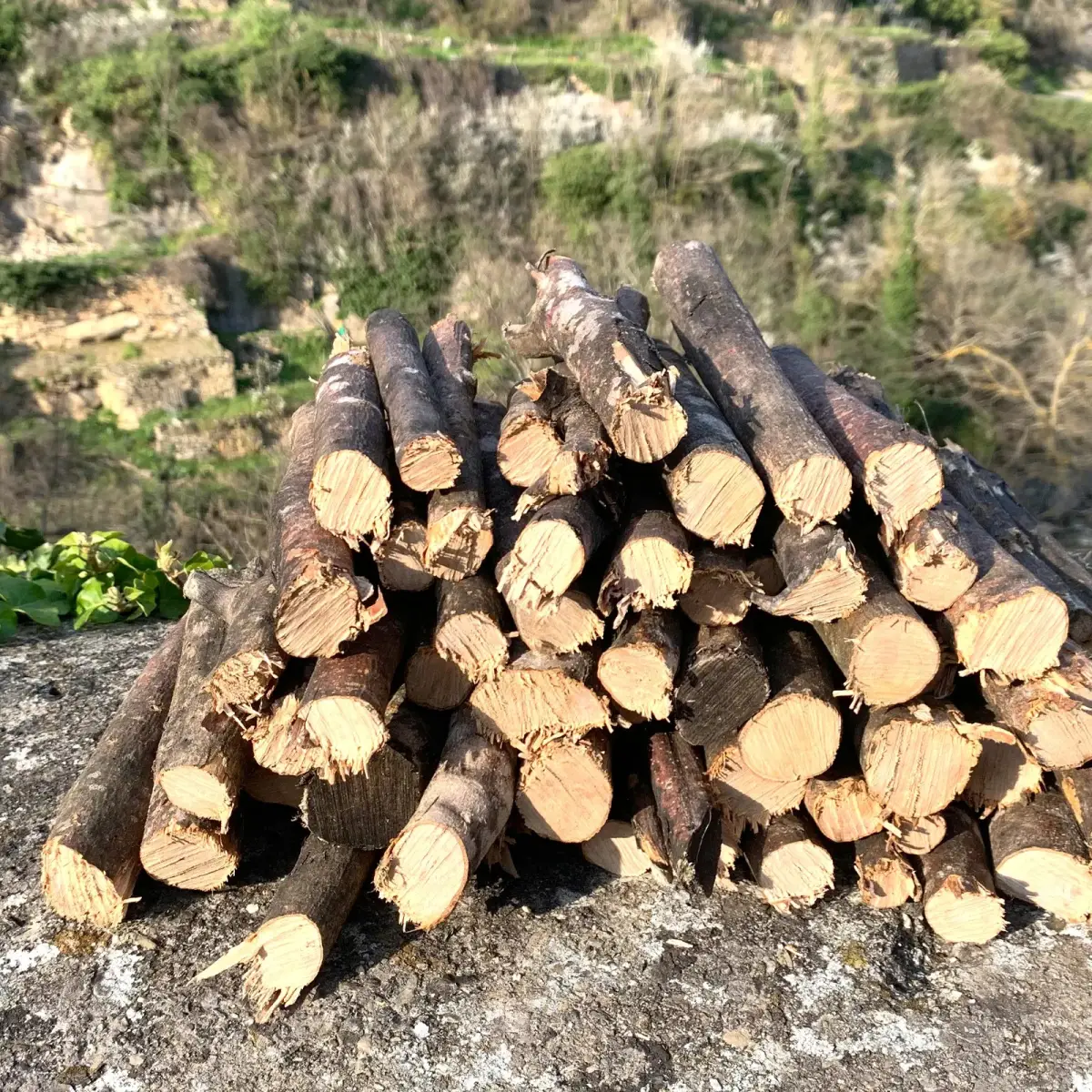 Bbq wood for sale near me best sale